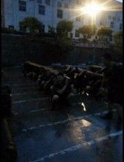 军网大全视频在线观看  第2张