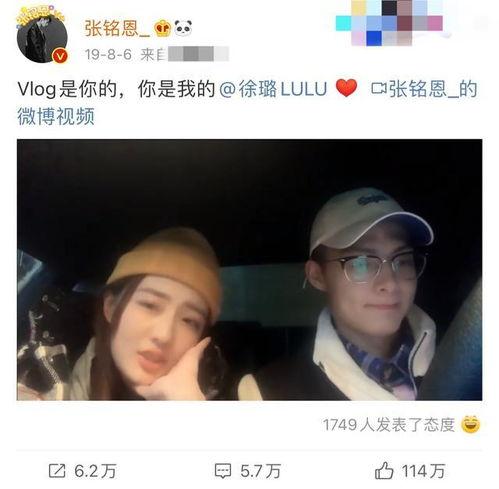 明星家暴爆料热搜视频播放,网络暴力下的家庭悲剧  第2张